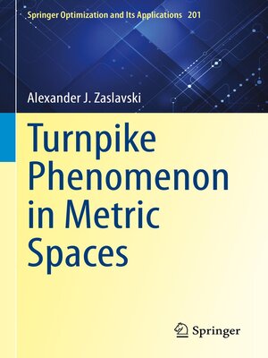 cover image of Turnpike Phenomenon in Metric Spaces